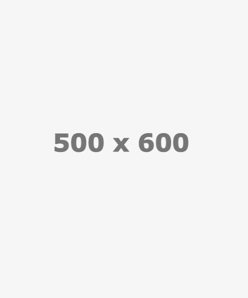 placeholder 500x600 1